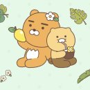 트로피컬라이언 이미지