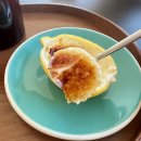 더써드라운지 세종 | 세종 장군면 카페 오하라운지 애견동반 디저트 정원카페 디저트 솔직후기