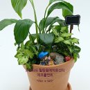 그린가드닝 이미지