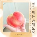 야채도사과일도사 - 해운대구 세실로 87 | 맛있는 딱복 파는 쇼핑몰 야채도사 복숭아 후기