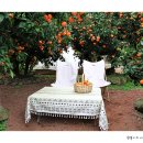 너와제주 이미지