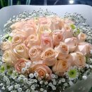 [서부] 캘리그라피 이미지