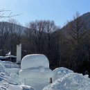 제521회(2024년 1월 23일)태백산(1,567m) 눈꽃축제 이미지