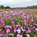 햇빛 좋은 PT 이미지