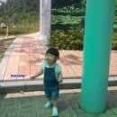 도경바이오 이미지