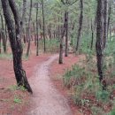 월송정로1 (중2-1) 이미지