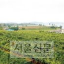 압해 송공산성 이미지