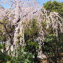 2호선 동백역 4번출구 이미지