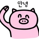 벨르미뷰티 이미지