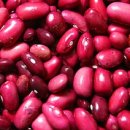 YOUR PT STUDIO 이미지