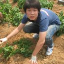 신태인고등학교 이미지