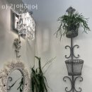 마리헤어(MARY HAIR) - 강북구 | 마리헤어(MARY HAIR)
