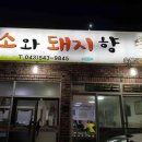 자연과 건강(산야초 이야기) 이미지