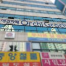 오르치그로치 | 안산 중앙동 애견카페 오르치그로치 첫방문 후기