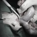 대흥동물병원 이미지