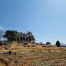 백암초등학교 이미지