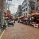 와이즈 동물병원 이미지