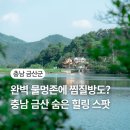 찜질방 있는 식물원? 대전 근교 힐링 명소 ‘하늘물빛정원’ 방문기