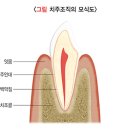 연세스카이치과병원 이미지