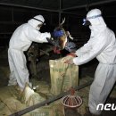 이종현농장 이미지