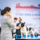 위너클래스행복 이미지