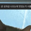 라파쏘나 이미지