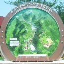 영남디앤지 이미지