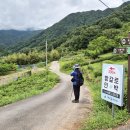 차시배지민박 Daum카페