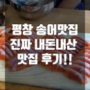 평창 금당계곡 송어회 맛집 !! 진짜 내돈내산 맛집 후기!!