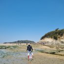 바람의 마을 | 선재도 칼국수 & 해물파전이 일품인 '바람의마을' 주말 대기 후기