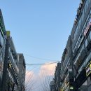 1월의 절반