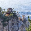 오십천둔치 이미지