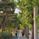 두진순대마을 | [속초여행] 영랑호 자전거 대여 범바위 구경 (전동스쿠터 렌탈샵 추천 바이크 렌트 가격)