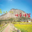 오리엔탈렌터카주 이미지
