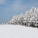 주신목장 이미지