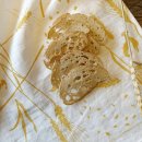 서편영농조합법인 이미지