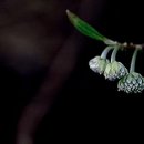 물소리바람소리 이미지