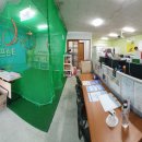 신안초등학교정문 앞 이미지