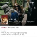 The Devil All The Time | 2월 영화 결산_<부고니아>, <안데스 설원의 생존자들>, <슬픔의 삼각형> 외 다수