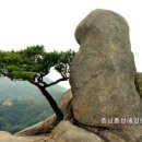 수신초등학교 이미지