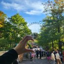 도봉월드약국 | [2023] Oct. 일상기록 : 힐링과 성장 모두를 놓치지 않는 노력