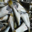 일품 복어 이미지