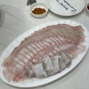 대전 유성 횟집 보물섬수산에서 회 포장 후기