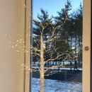 아이캔커피 마곡점 이미지