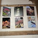 한천가든 | 국내 패키지 당일 여행 구례 지리산 화엄사 홍매화 개화상태 산수유 아너드투어