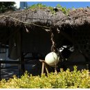 삼오약국 이미지