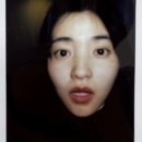 베테랑투어 이미지