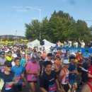 파주통일경기-파주-통일7 이미지