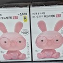 감성토끼