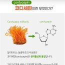 큐사랑용두점